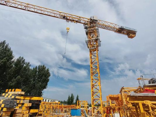 12T QTZ250 7020 Grue de construction d'occasion hauteur 60m et mât L68 2019 Année de fabrication